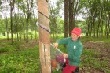 Nữ công nhân đa tài